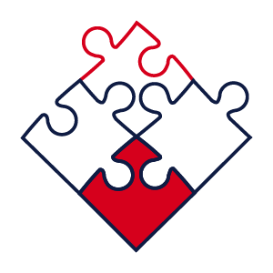 Custom Solutions for Every Project Icon