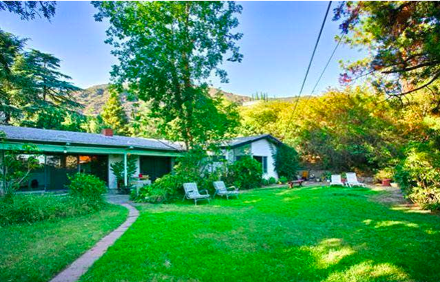 Before image of backyard