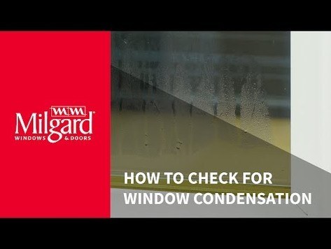 How to Check for Window Condensation